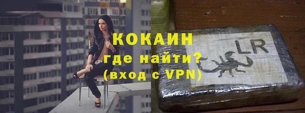 стафф Алексин