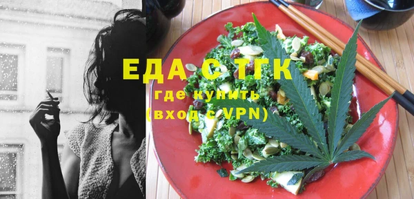 индика Новозыбков