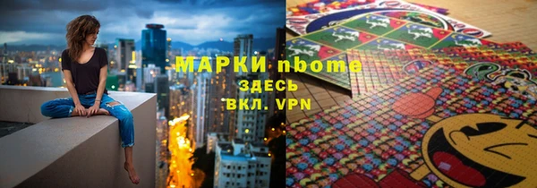молекула духа Няндома