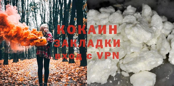 стафф Алексин